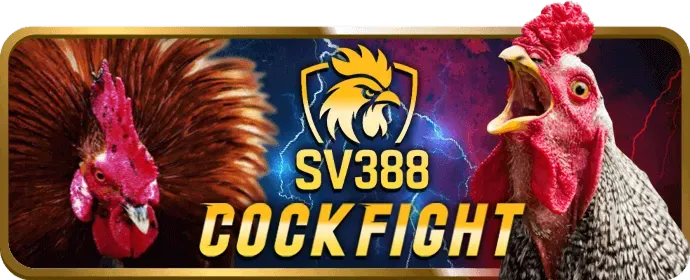 So sánh khuyến mãi bay365 và đối thủ